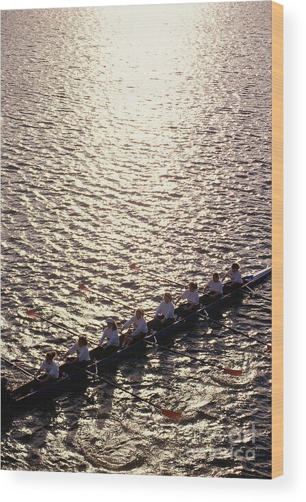 Sport Rowing Wood Print featuring the photograph Crew Team Rowing In Water by Visionsofamerica/joe Sohm