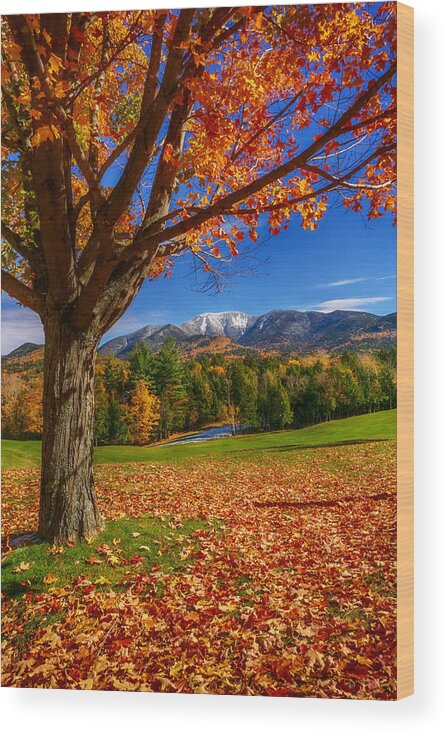 Fall Wood Print featuring the photograph Crisp Autumn Leaves by Amanda Jones