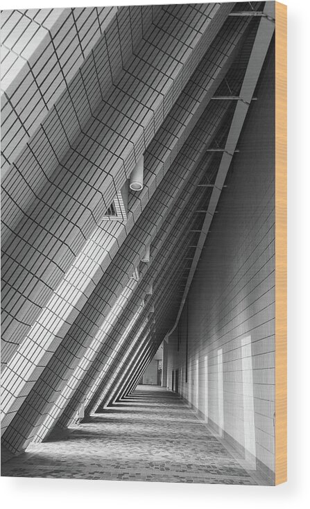 Cities Wood Print featuring the photograph Cultural Centre Hong Kong by Silvia Marcoschamer