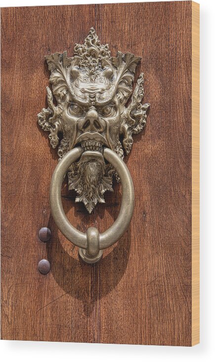 Devil Wood Print featuring the photograph Devil Door of Venice by David Letts