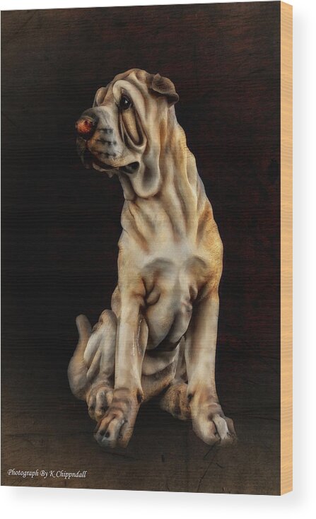 Dog Portrait Wood Print featuring the digital art Dog portrait 63 by Kevin Chippindall