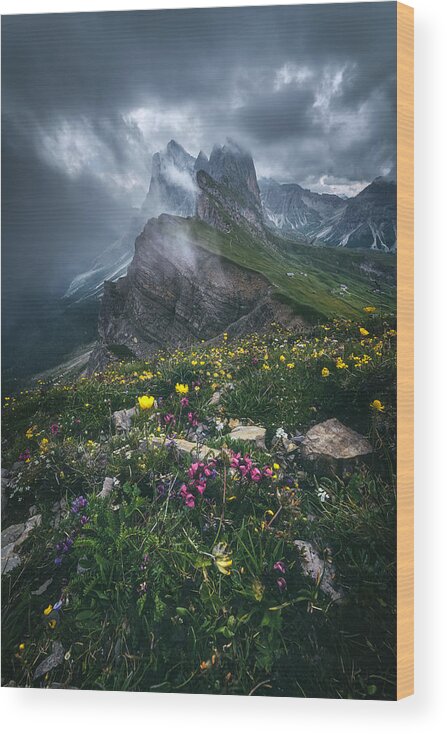 Dolomites Wood Print featuring the photograph Dolomites - Seceda 2500 by Jean Claude Castor
