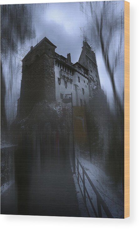 Surreal Wood Print featuring the photograph Dracula S Castle by Roberto Franchini
