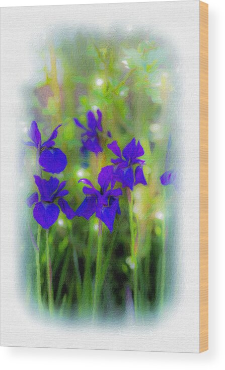 Iris Wood Print featuring the photograph Dreamy Irises by Diane Lindon Coy