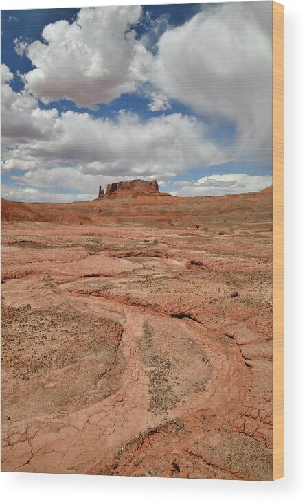 Scenic Byway 191 Wood Print featuring the photograph Dry Washes along Scenic Byway 191 in AZ by Ray Mathis