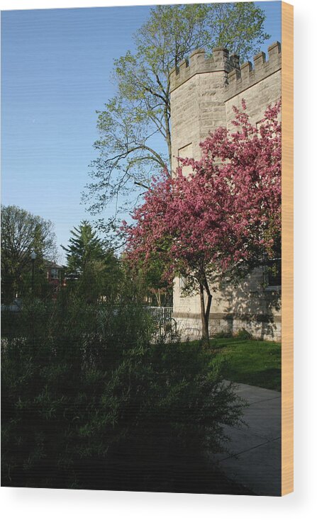 Eiu Spring Old Main Wood Print featuring the photograph EIU Spring Old Main by Dylan Punke