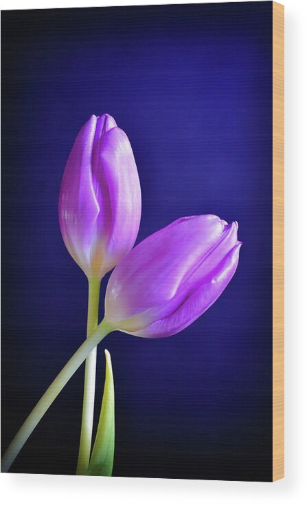 Purple Wood Print featuring the photograph Embrace by Michelle Wermuth