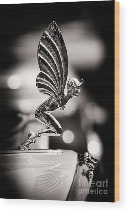 Fairy Hood Ornament Wood Print featuring the photograph Fairy Hood Ornament by Tim Gainey