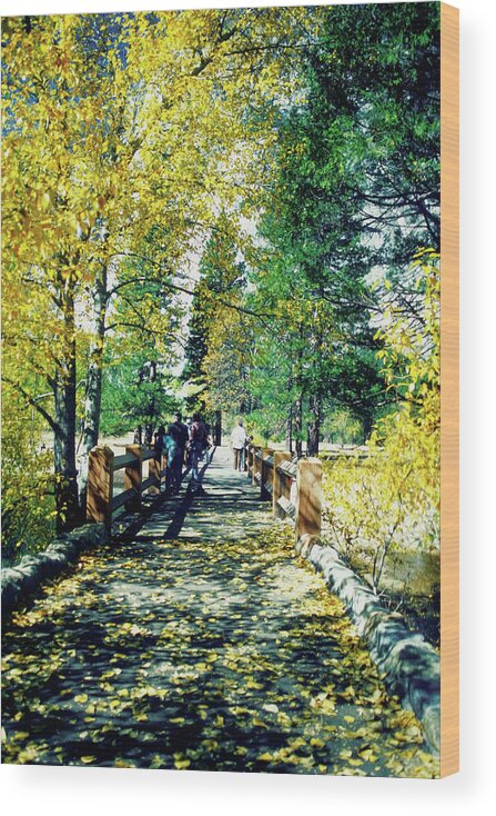 Non-urban Scene Wood Print featuring the photograph Fallen Leaves On A Footbridge, Yosemite by Medioimages/photodisc