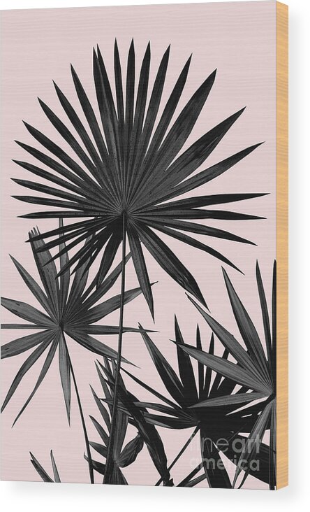 Photography Wood Print featuring the mixed media Fan Palm Leaves Jungle #2 #tropical #decor #art by Anitas and Bellas Art