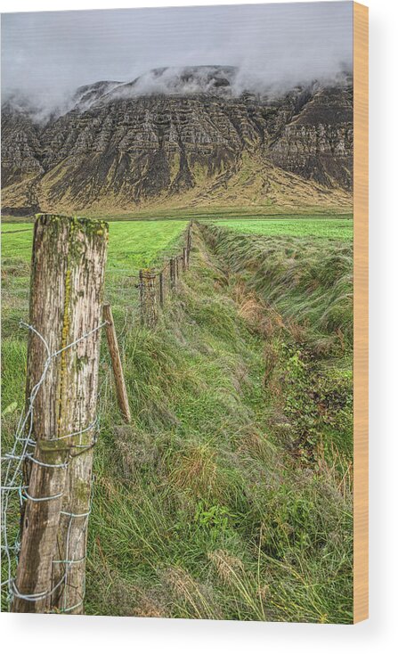 Iceland Wood Print featuring the photograph Fence of Iceland by David Letts