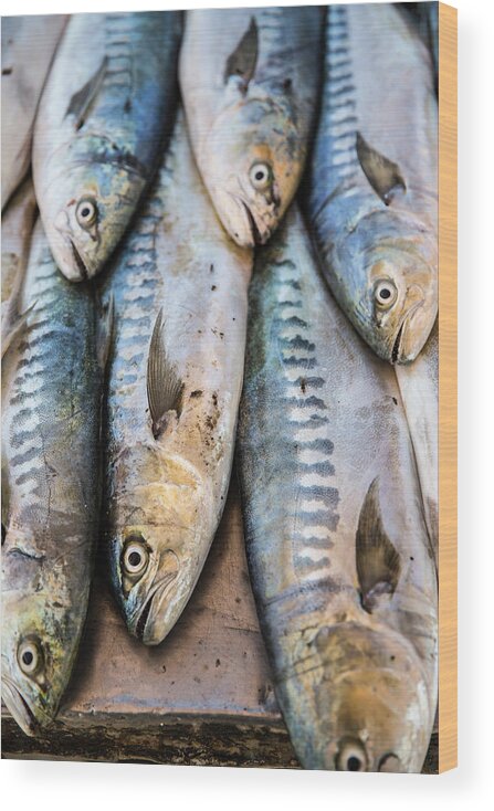 Agadir Wood Print featuring the photograph Fish In Market, Taghazout, Morocco by Tim E White