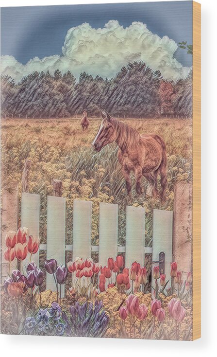 Barn Wood Print featuring the photograph Floral Farmland in Soft Shades by Debra and Dave Vanderlaan