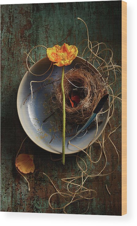 Orange Color Wood Print featuring the photograph Flower And Nest -elements Of Spring by Laurie Rubin