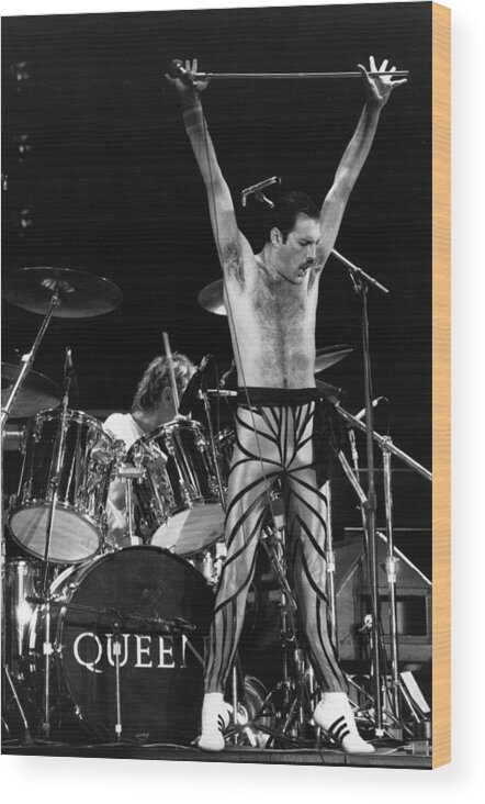 Freddie Mercury Wood Print featuring the photograph Freddie Mercury by Express Newspapers