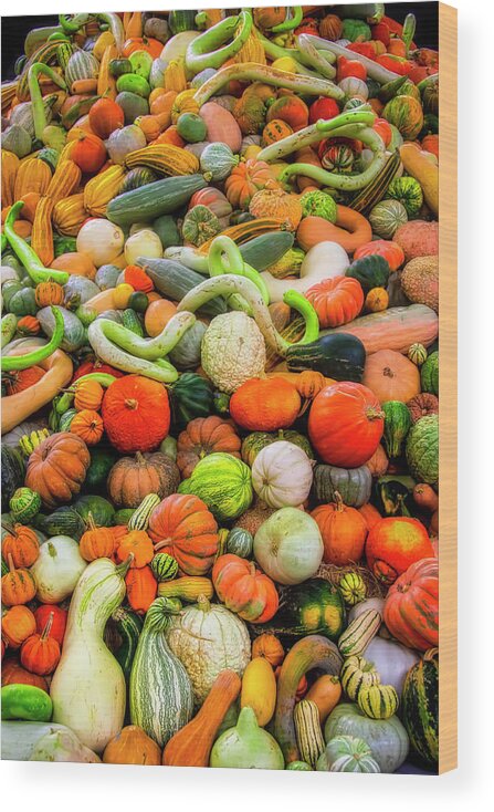 Mountain Wood Print featuring the photograph Giant Pile Of Pumpkins Gourds by Garry Gay