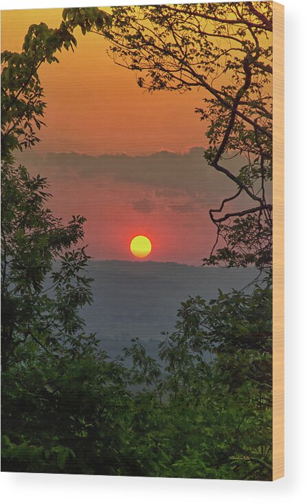 Sunset Wood Print featuring the photograph Golden Glow Sunset Landscape by Christina Rollo