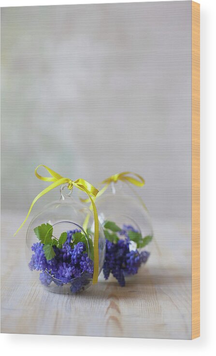 Ip_12595369 Wood Print featuring the photograph Grape Hyacinths In Glass Spheres by Alicja Koll