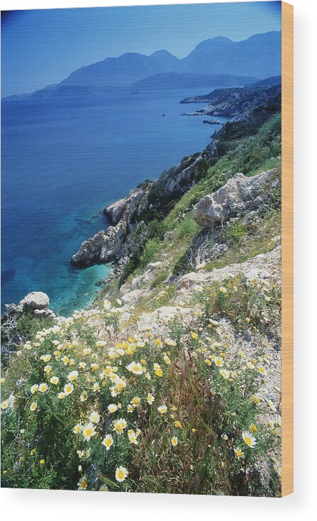 Greece Wood Print featuring the photograph Greece, Crete, Wild Flowers On Cliff by Peter Adams