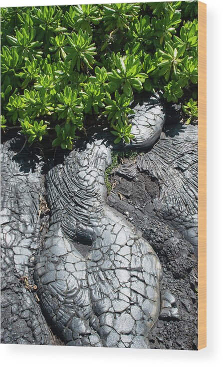 Hardened Lava 3 Wood Print featuring the photograph Hardened Lava 3 by Robert Michaud