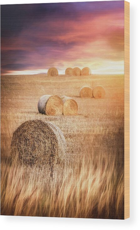 Scotland Wood Print featuring the photograph Harvest Hay Bales Scotland by Carol Japp