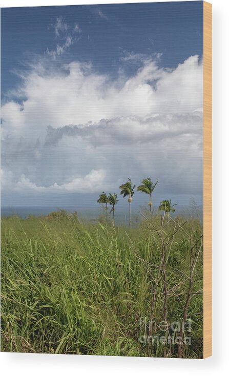 Ocean Wood Print featuring the photograph Hawaii Big Island by Jim West