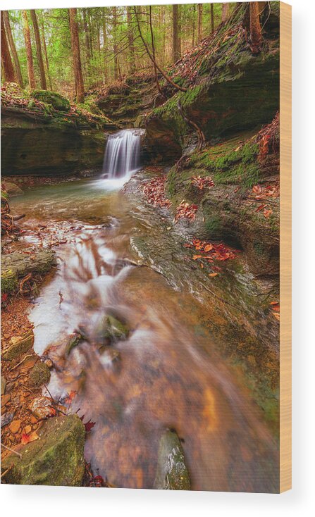 Waterfall Wood Print featuring the photograph Hideaway Falls by Arthur Oleary