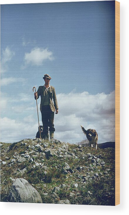 Working Wood Print featuring the photograph Hill Shepherd by Bert Hardy