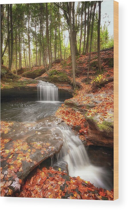 Waterfall Wood Print featuring the photograph Houghton Falls Nature Preserve by Susan Rissi Tregoning