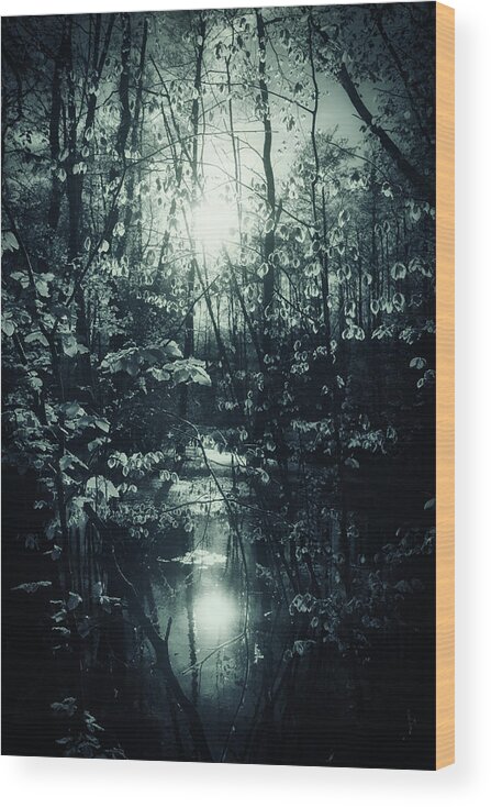 Lake Wood Print featuring the photograph Hours Of Significance by Dorit Fuhg