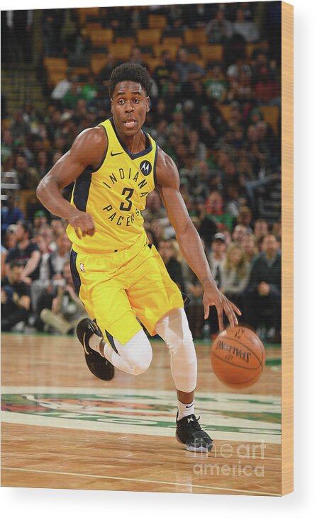 Aaron Holiday Wood Print featuring the photograph Indiana Pacers V Boston Celtics by Steve Babineau