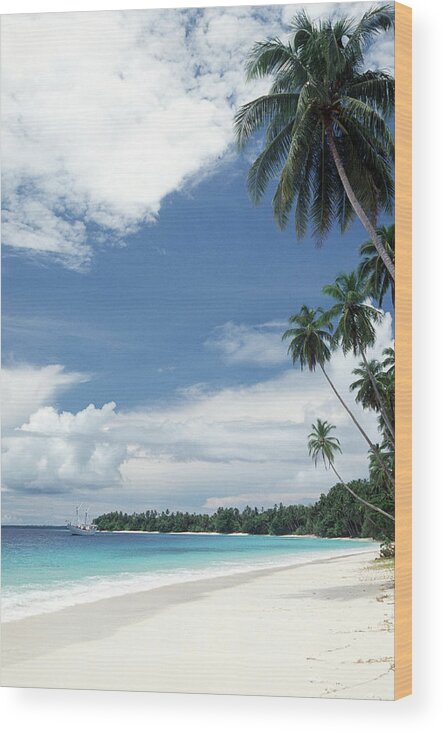 Tropical Tree Wood Print featuring the photograph Indonesia, North Sumatra Province by Tropicalpixsingapore