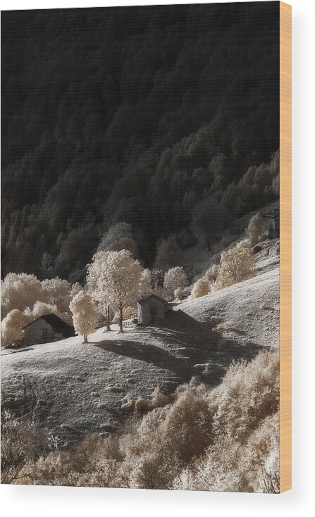 Infrared Wood Print featuring the photograph Infrared Dream by Filippo Manini