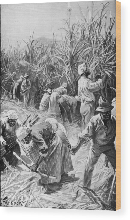 Engraving Wood Print featuring the photograph Jamaican Cane Cutters by Hulton Archive