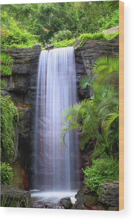 Wdw Wood Print featuring the photograph Jungle Waterfall by Mark Andrew Thomas
