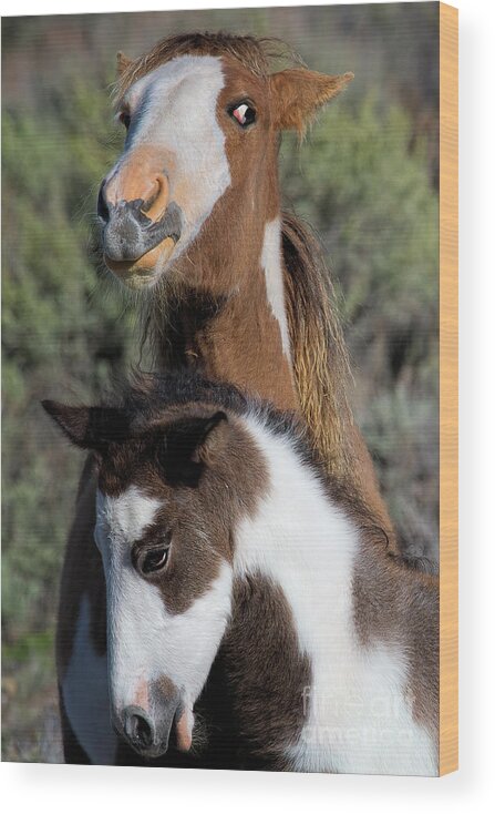 Foal Wood Print featuring the photograph Kid Brother by Jim Garrison