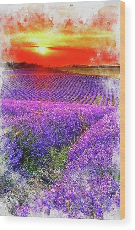 Lavender Wood Print featuring the painting Lavender fields - 11 by AM FineArtPrints