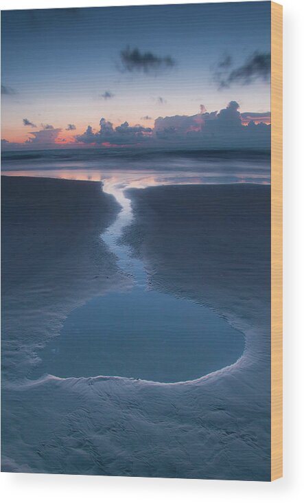Scenics Wood Print featuring the photograph Little Pond On The Beach In Daytona by T. Jung