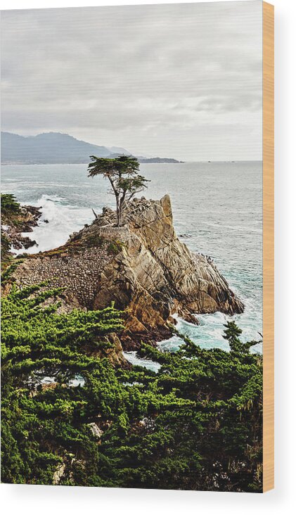 Lone Cypress Wood Print featuring the photograph Lone Cypress by Barbara Snyder