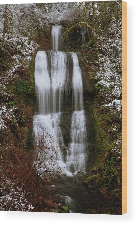 Royal Terrace Falls Wood Print featuring the photograph Royal Terrace Falls by Catherine Avilez