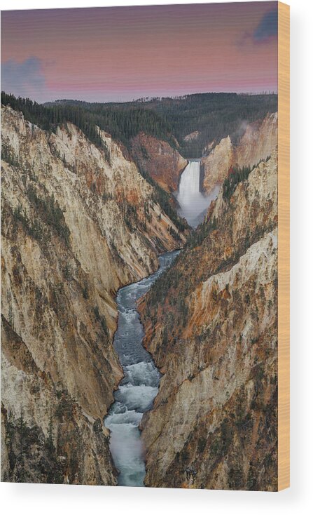 Jeff Foott Wood Print featuring the photograph Lower Yellowstone Falls by Jeff Foott
