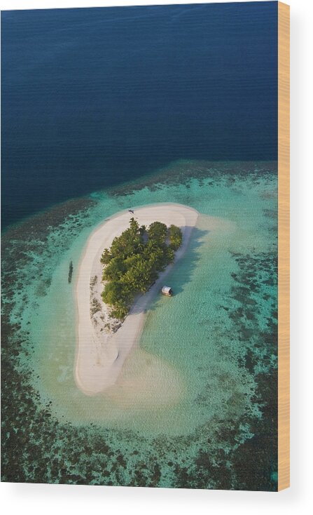 Tranquility Wood Print featuring the photograph Maldives Island And Coral Reef by © Marie-ange Ostré