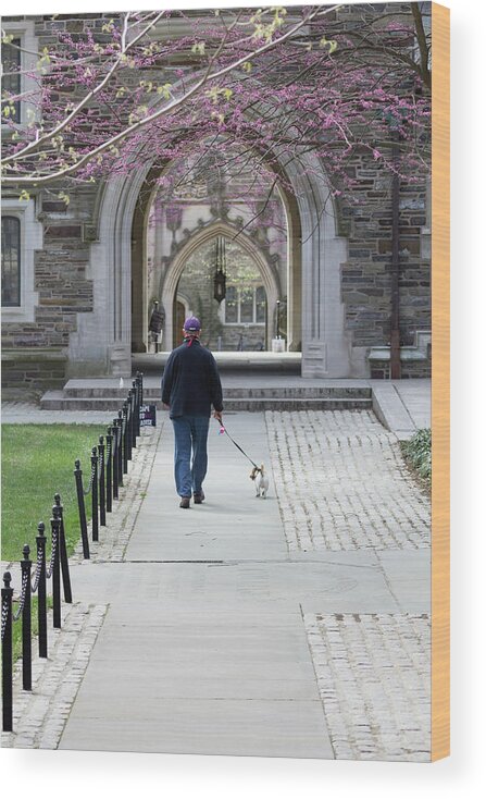 Campus Wood Print featuring the photograph Man Walking Dog at Princeton by Erin Cadigan