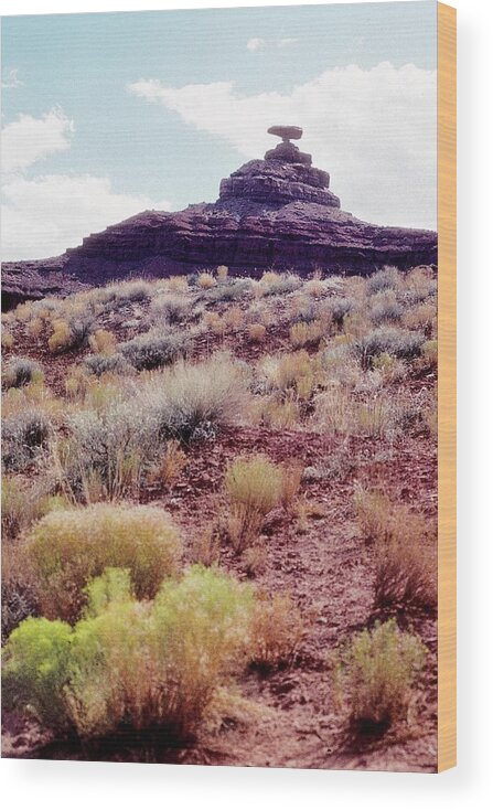 Scenics Wood Print featuring the photograph Mexican Hat by Stefano Salvetti