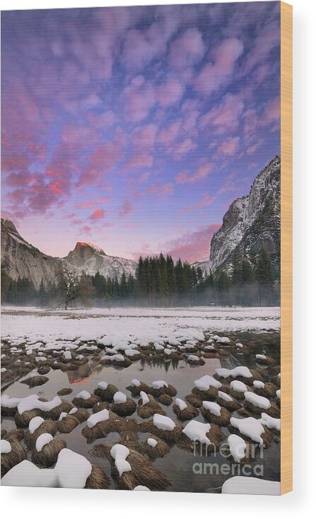 Half Dome Wood Print featuring the photograph Snowy Winter Sunset with Half Dome and Yosemite Valley by Tom Schwabel