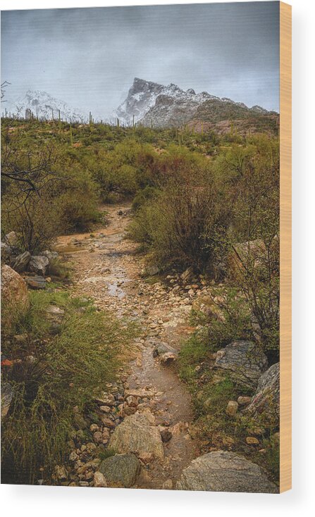 Tucson Wood Print featuring the photograph Moody Creekbed by Chance Kafka
