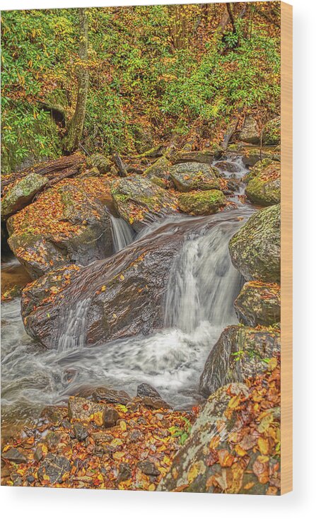 Mountain Stream Wood Print featuring the photograph Mountain Stream Rock by Meta Gatschenberger