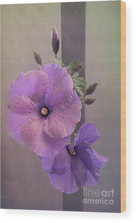 Native Wood Print featuring the photograph Native Hibiscus by Elaine Teague