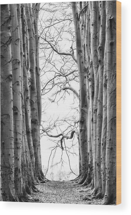 Landscape Wood Print featuring the photograph 'near Kozakkenveer' by Jan Pranger