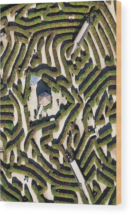 Topiary Wood Print featuring the photograph Netherlands, Vaals, Labyrinth by Frans Lemmens